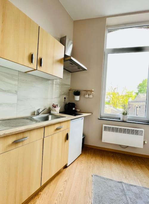 לייז' Charmant Petit Appartement. מראה חיצוני תמונה