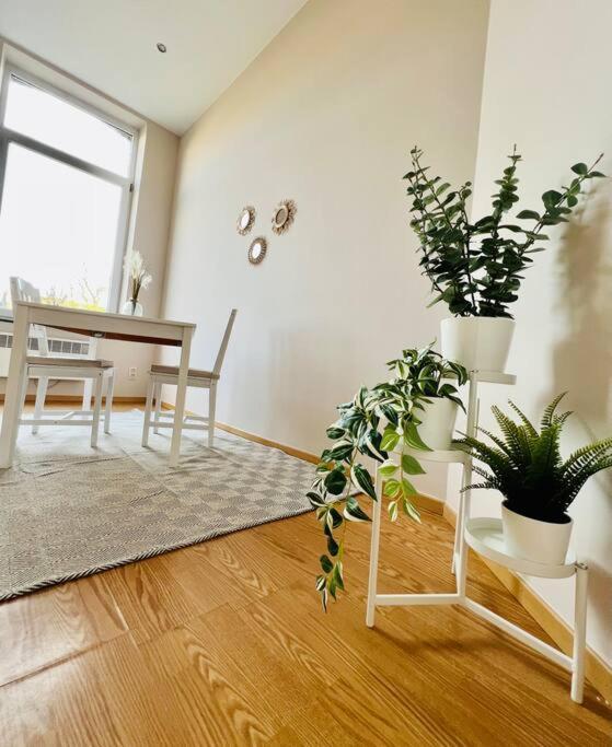 לייז' Charmant Petit Appartement. מראה חיצוני תמונה